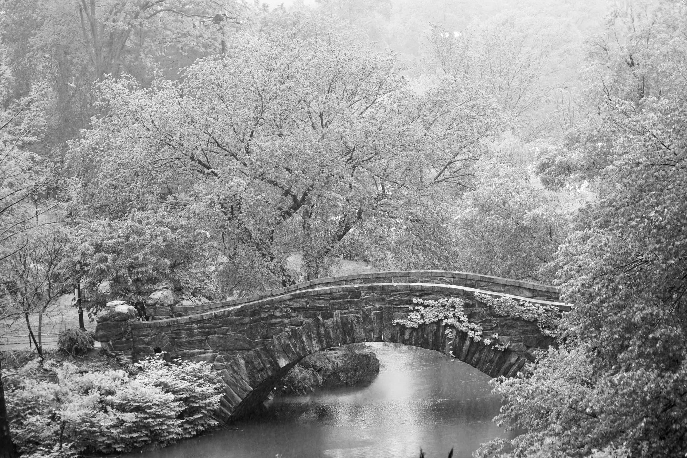 Gapstow Bridge im Central Park in Schwarz-Weiß