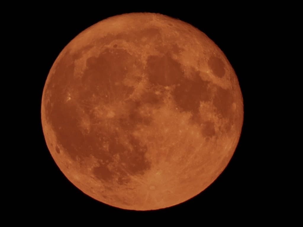 Orangefarbener Vollmond vor schwarzem Himmel
